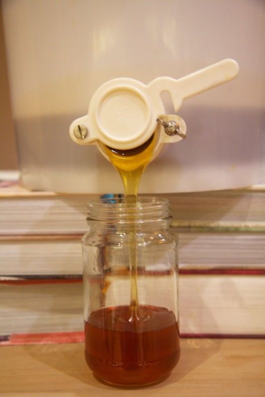 Honey Settling Tank / Honey Bucket BeePlazabeekeeping Shop