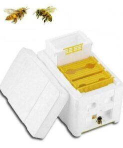 Alternative view of Portable Bee Mating Nuc Hive Harvest Pollination Beekeeping BeeHive Box