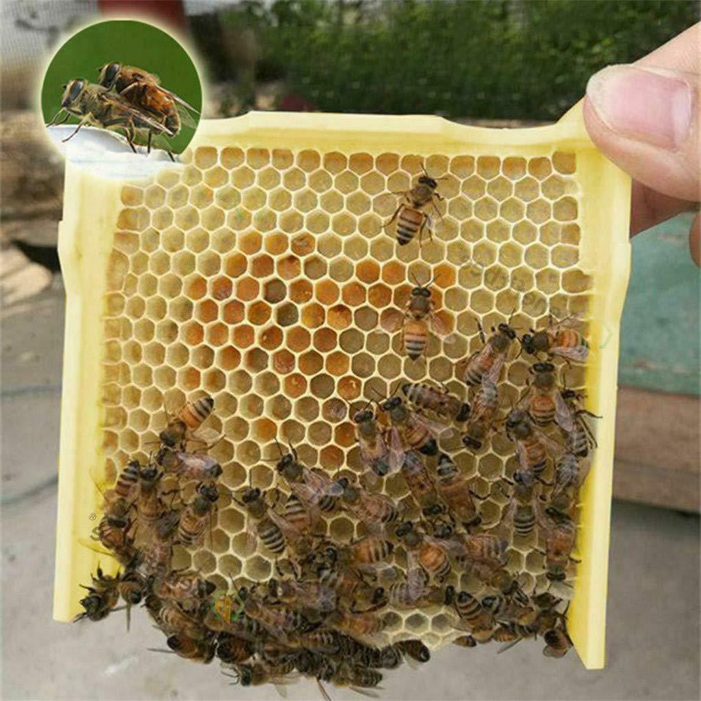 Hive Box Harvest Beehive Pollination Beekeeping For Bee Mating Beekeeping 
