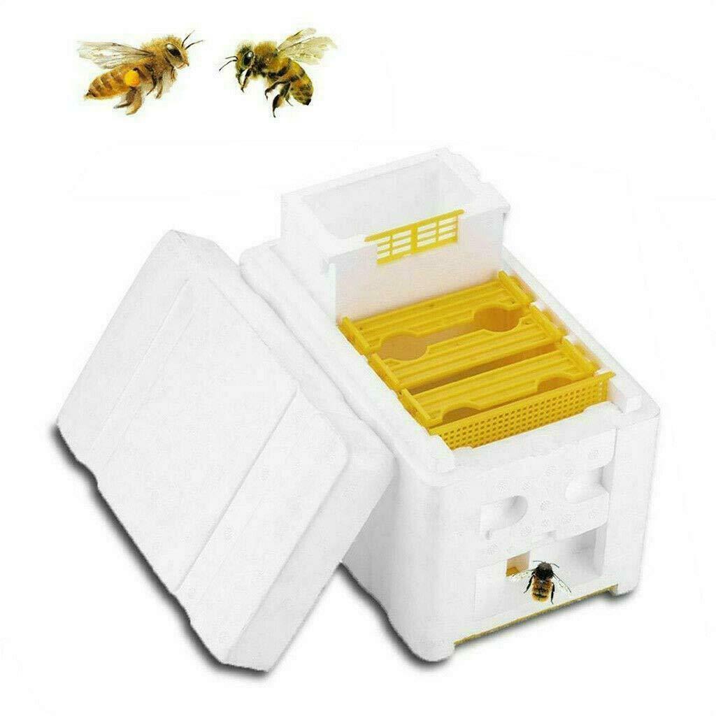 Portable Bee Mating Nuc Hive Harvest Pollination Beekeeping Beehive Box